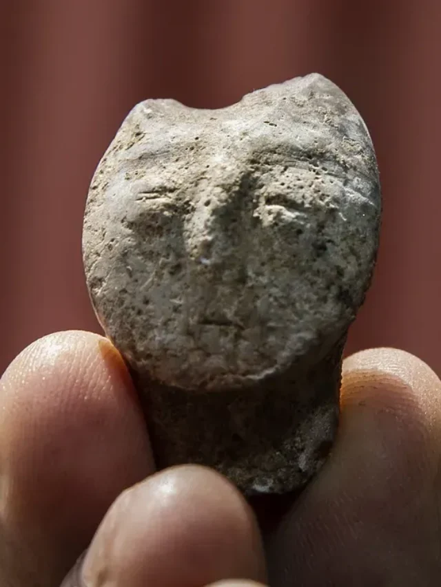 ‘Truly Significant’ Paleolithic Artifacts Found During Highway Construction